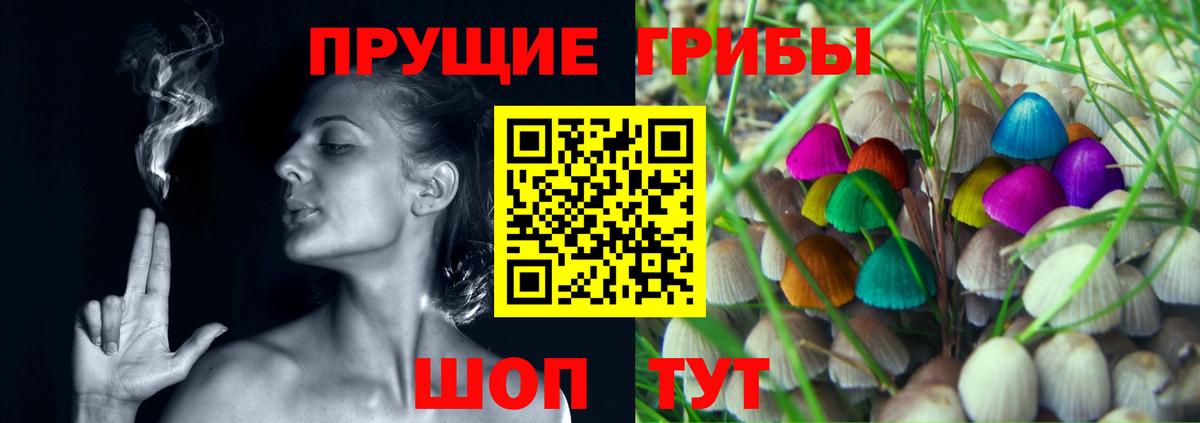 Галлюциногенные грибы GOLDEN TEACHER  Вход с VPN  Салават 